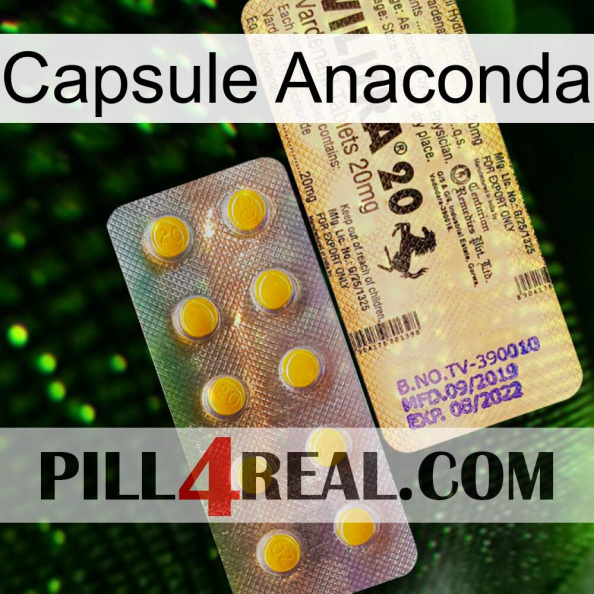 Anaconda Capsule new06